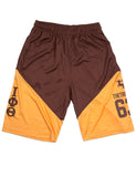 Iota Phi Theta Basketball Shorts
