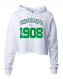 Alpha Kappa Alpha Excellence Cropped Hooded Sweatshirt