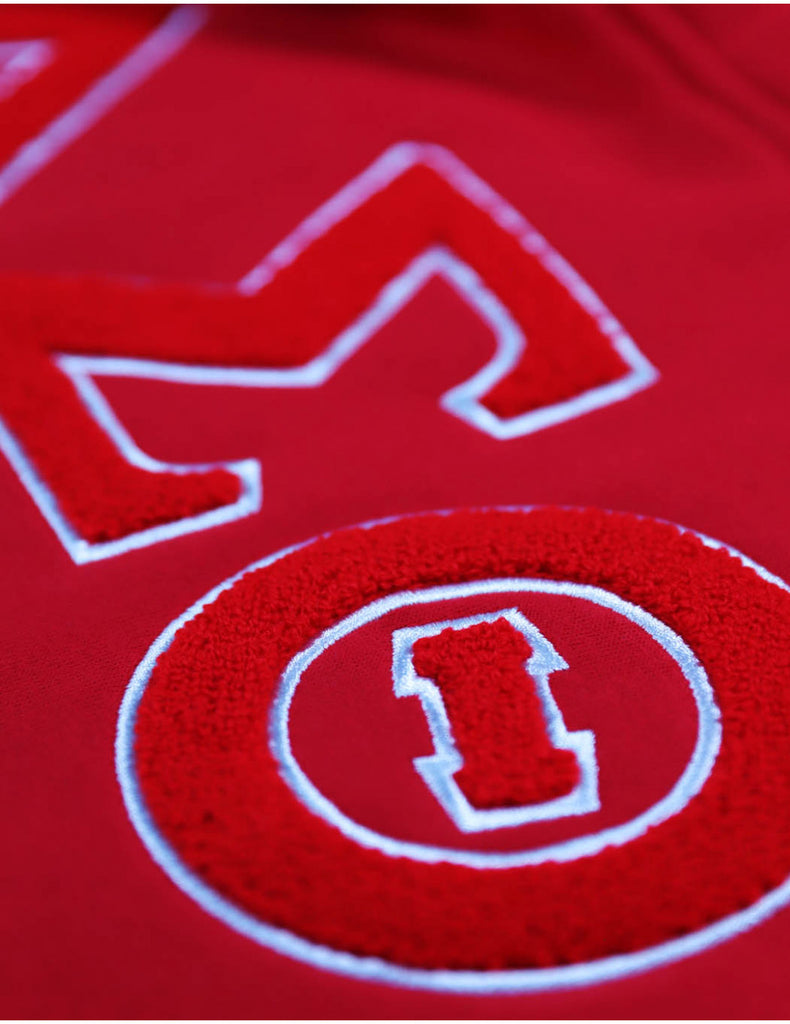 Delta Chenille Shield Hoodie - Delta Sigma Theta