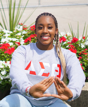 Delta Sigma Theta Color Block Greek Lettered Crewneck Sweatshirt