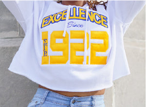 SGRho Excellence Cropped Hooded Sweatshirt - Sigma Gamma Rho