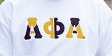 Alpha Phi Alpha Color Block Greek Lettered Hoodie