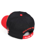 Delta Sigma Theta Greek Letter Adjustable Hat / Cap