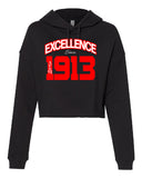 Excellence Cropped Hooded Sweatshirt - Delta Sigma Theta