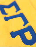 Sigma Gamma Rho Fur Tote Bag